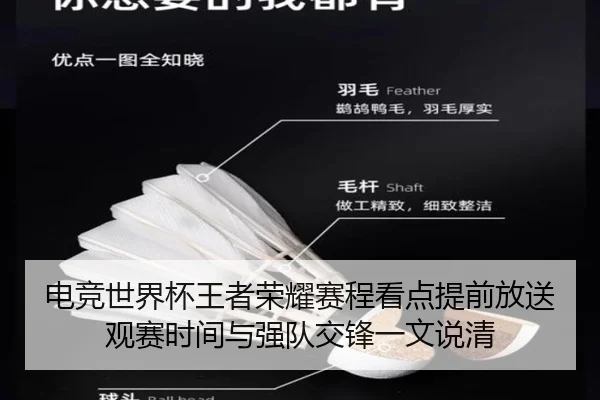 电竞世界杯王者荣耀赛程看点提前放送观赛时间与强队交锋一文说清